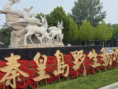 -秦皇岛野生动物园