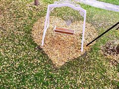 -华东师范大学第二附属中学(张江校区)