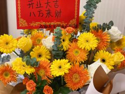 -安院长·产后恢复·徒手骨盆(先天下店)