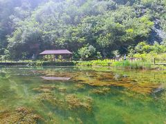 -白河湾生态旅游一条川