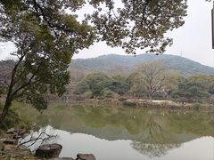 -惠山古镇·寄畅园