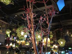 -胡桃里音乐酒馆(白云五号T5 MALL店)