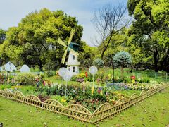 -上海共青森林公园