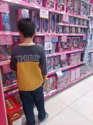 -玩具反斗城(北京芳圆里店)
