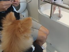 -怪兽屋·羊驼·猫咖·狗咖(俊华广场店)