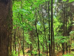 -金堂县云顶石城风景区