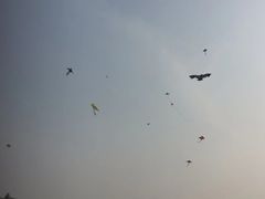 -映月湖中央公园