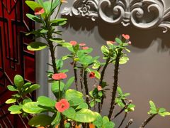 -潮中人·潮州菜(益乐路店)
