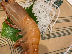 -京樽回転寿司(奥林匹克店)