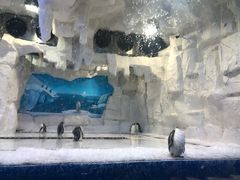 -华夏文旅西安度假区