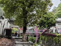 -绩溪龙川景区