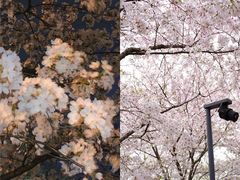 -龙美术馆(西岸馆)