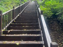-天女山森林公园