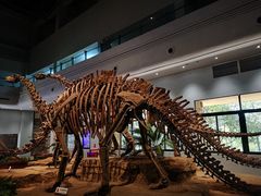 -自贡恐龙博物馆