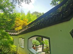 -上海醉白池公园