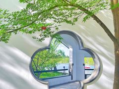 -上海共青森林公园