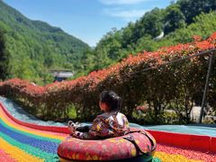 -栾川竹海野生动物园