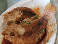 -锦江饭店锦北楼-锦江厅