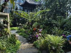 -东莞植物园
