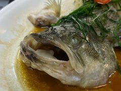 -喜运来酒楼(江南大道店)