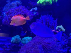 -海合安武汉极地海洋公园