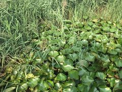 -郑东新区龙湖公共艺术中心