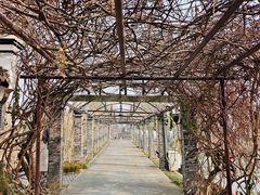 -丝绸小镇荻港古村