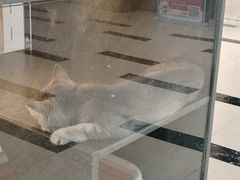 -中贸广场