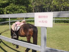 -上海长兴岛郊野公园