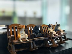 -云溪植物园