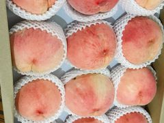 -南汇水蜜桃采摘(大团店)