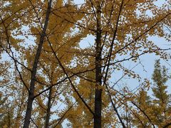 -森林公园(尖草坪区)