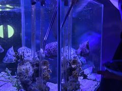 -太平洋海底世界