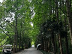 -同里国家湿地公园