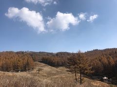 -驼梁风景区