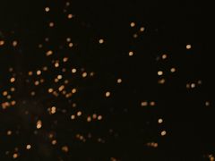 -丫丫蟹庄·苏式园林农家乐·阳澄湖大闸蟹(阳澄湖莲花岛店)