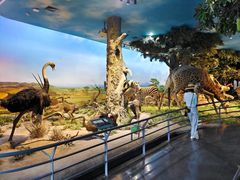 -国家自然博物馆