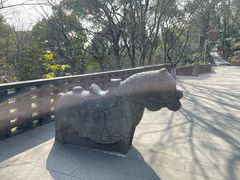 -上海佘山国家森林公园天马山园