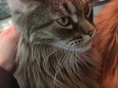 -平行世界·猫咖(首经贸店)