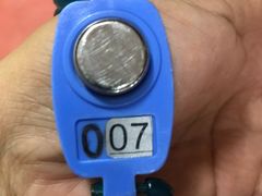 -翡翠湖迎宾馆·游泳馆