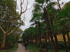 -徐家汇源景区-衡山公园