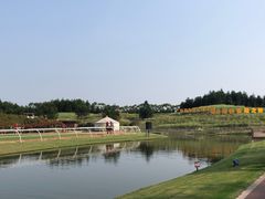 -迪茵湖田家舍生态农场