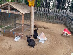 -三亚海棠湾万丽度假酒店