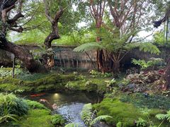 -Chom Cafe and Restaurant