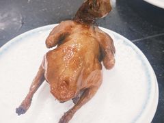 -鸽鸟轩(石岐店)