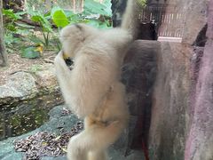 -长鹿旅游休博园