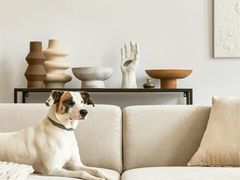 -住范儿家装·整体家装·装修设计