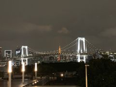 -台场海滨公园船码头