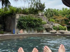 -雅安楠水阁温泉酒店