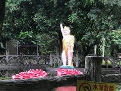 -瑞丽独树成林风景区
